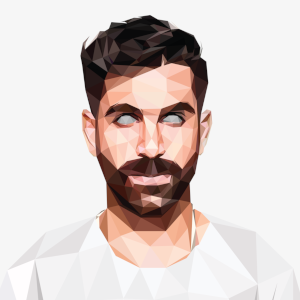 low poly portrait